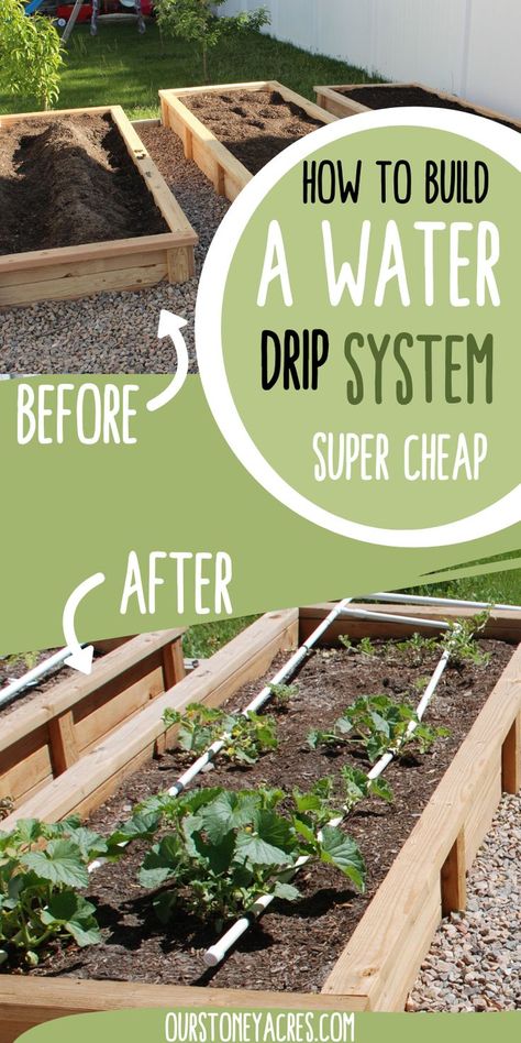 Do you know how to water raised bed gardens? This is the best method for a vegetable garden watering system. This is drip irrigation for raised beds. It is a simple vegetable garden watering system diy. Learn how to water a garden without a hose. Find more watering a garden ideas, watering vegetable garden tips, and gardening ideas. Self Watering Raised Garden Beds Diy, Vegetable Garden Watering System, Watering System For Garden Raised Beds, Self Watering Raised Garden Beds, Raised Bed Watering System, Irrigation For Raised Beds, Simple Vegetable Garden, Raised Garden Beds Irrigation, Raised Bed Garden Layout