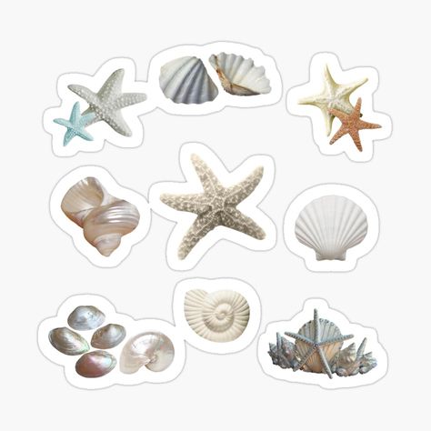 Scrapbook Cute Stickers, Sticker Prints Aesthetic, Cute Stickers For Scrapbook, Sea Aesthetic Sticker, Scrapbook Things To Print, Sea Shell Sticker, Sticker Art Aesthetic, Scrapbook Ideas Stickers, Cute Scrapbook Stickers