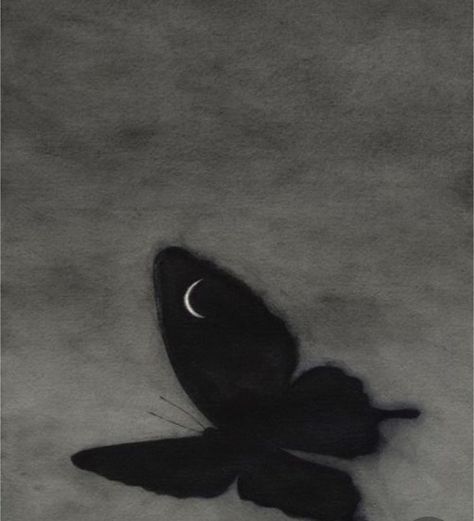 A Butterfly, A Black, The Moon, Moon, Black And White, White, Black