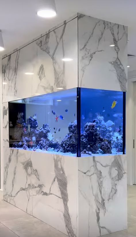 Home Aquarium Ideas, Fish Tank Wall, Aquarium Architecture, Wall Aquarium, House Front Door Design, Aquarium Ideas, تصميم للمنزل العصري, Home Aquarium, Aquarium Design