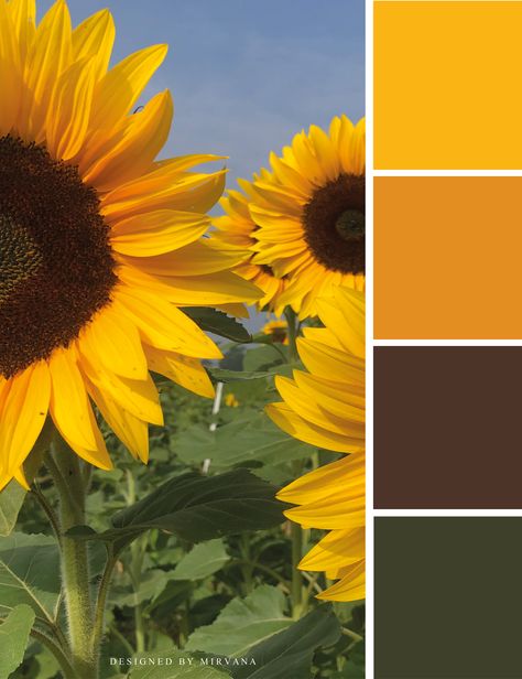 Yellow Flower Color Palette, Sunflower Pallet Color, Sunflower Color Pallete, Sunflower Colour Palette, Yellow Pallet Colour Palettes, Color Palette Sunflower, Colors That Go With Yellow, Mexico Color Palette, Sunflower Color Palette