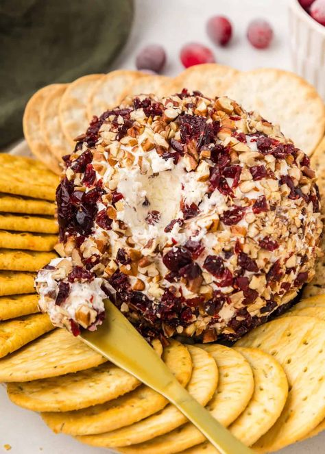 Cranberry Pecan Cheeseball, Cranberry Cheeseball, Pecan Cheeseball, Cheesy Balls, Cranberry Cheese Ball, Cranberry Pecan Cheese Ball, Pecan Cheese Ball, Appetizer Christmas, Cold Dips