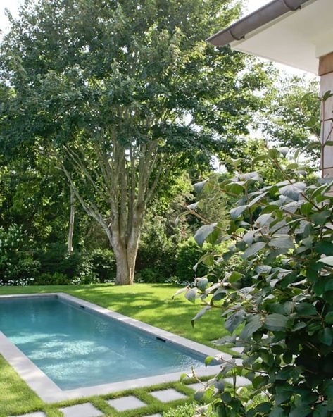 Pools For Small Yards, Townhouse Garden, Small Swimming Pools, Pool Landscape Design, Small Pool Design, Big Backyard, Backyard Pools, Small Pools, Small Backyard Ideas