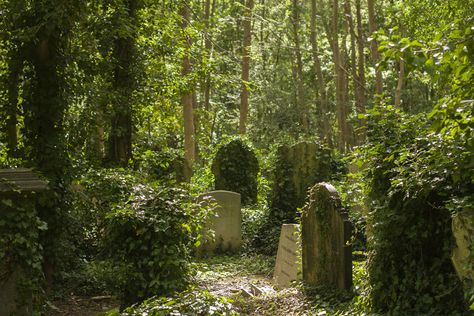 Overgrown Cemetery Aesthetic, Headstone Photography, Overgrown Graveyard, Overgrown Cemetery, Drawtober 2023, Uncut Hair, Highgate Cemetery London, Beautiful Cemetery, Cemetery Gates