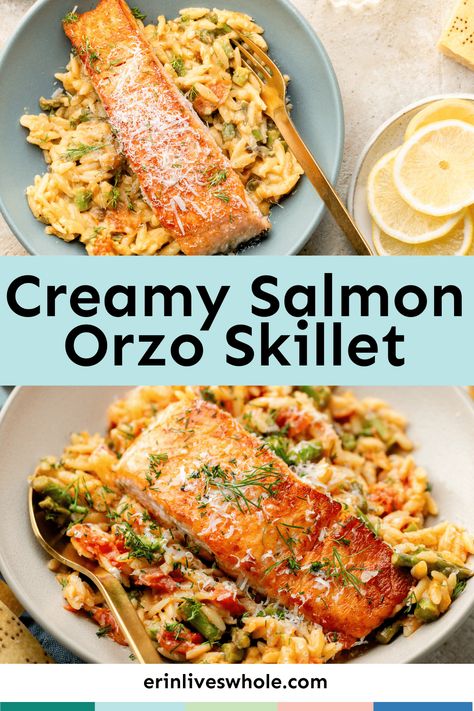 Switch up your standard salmon routine and try out this delicious Creamy Salmon Orzo Skillet! Between the veggies, parmesan cheese, and lemon, it's overflowing with savory flavors. Salmon Orzo Recipe, Salmon Orzo, Orzo Skillet, Creamy Orzo, Creamy Salmon, New Recipes For Dinner, Pan Fried Salmon, Orzo Recipes, Lemon Salmon