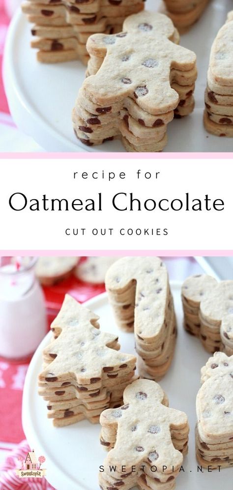 Oatmeal Cutout Cookies, Roll Out Chocolate Chip Cookies, Healthy Roll Out Cookies, Roll Out Cookie Flavors, Roll Out Cookie Recipes, Chocolate Chip Cutout Cookies, Flavored Roll Out Cookies, Rolled Cookies Recipes Cut Outs, Rollout Cookie Recipe