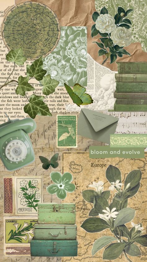 #vintage #green #greenaesthetic Green Aesthetic Vintage Sticker, Green Aesthetic Vintage Collage, Wallprint Aesthetic Green, Forest Green Scrapbook, Asthetic Picture Wallpaper Vintage Green, Scrapbook Ideas Green Theme, Green Scrapbook Background, Green Vintage Paper, Journal Ideas Green Theme