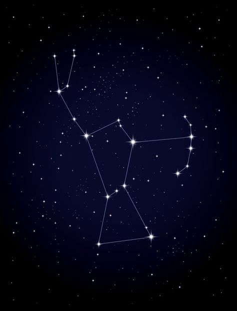 To help find their way around the sky, astronomers divide it into 88 regions, like counties in a state. The regions are connected to imaginary stick-figure pictures called the constellations. Many cultures have their own set of legendary sky figures. We use the mythological characters imagined by the ancient Greeks and ancient Egyptians. Orion, the Hunter, is one of the most familiar constellations. His shoulders, legs, and waist are easy to trace. | What Stars and Nebulae Are | Kids Discover Orion The Hunter, Orion Constellation, The Hunter, Night Sky, Constellations, The Sky, Stars