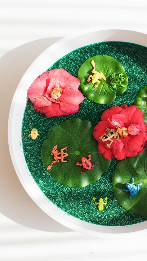 inspiremyplay on Instagram: FROG POND SENSORY PLAY . You guys are keen for more taste-safe play options so here is one involving a little bit of chia seed & water.… Frog Tuff Tray Ideas, Chia Seed Tuff Tray, Sensory Play Tray, Frog Sensory Play, Chia Seed Sensory Play, Pond Sensory Play, Frog Sensory Bin, Chia Slime, Pond Sensory Bin