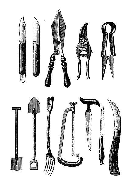 Gardening Equipment, Vintage Gardening, Engraving Illustration, Formal Garden, Garden Equipment, Antique Illustration, Poster Size Prints, Hand Saw, Work Tools