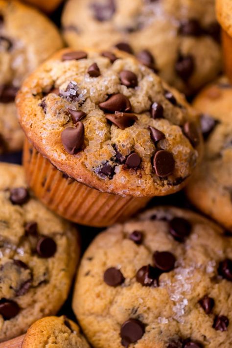 The BEST muffin recipe for chocolate chip muffins! This easy chocolate chip muffin recipe is super moist and loaded with gooey chocolate chips. A great breakfast recipe or brunch recipe! Chocolate Toffee Muffins, Healthy Chocolate Breakfast Muffins, Chocolate Chip Muffin Recipes, Easy Chocolate Chip Muffin Recipe, Chocolate Chocolate Chip Muffins, Muffins Chocolate Chip, Moist Chocolate Chip Muffins, Banana Chocolate Muffins, Best Muffin Recipe