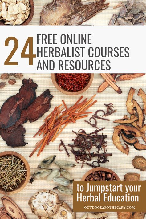 Looking to delve into the world of herbalism? Our blog article highlights 24 amazing free online herbalist courses and resources that will jumpstart your herbal education. From beginner to advanced, these courses cover a range of topics and provide a solid foundation for your herbal studies. Start your journey towards becoming a herbalist today! Herbs Medicine, Medicine Garden, Herbal Education, Herbal Steam, Herbal Remedies Recipes, Medical Herbs, Kitchen Witchery, Herbal Tinctures, Herbal Recipes