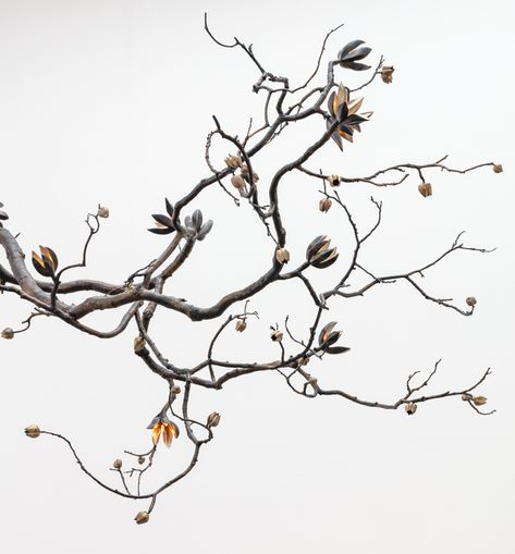 David Wiseman | Illuminated Branch Sculpture, Desert Yucca Bloom Branch Installation, Branch Aesthetic, David Wiseman, Branch Sculpture, Flower Branches, Dry Branch, Happy Birthday Frame, Working Drawing, Blooming Trees