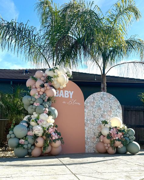 Baby in Bloom 💐💕 Balloon recipe: @sempertex Pastel Dusk Laurel, @tuftexballoons Cameo and Lace. Setup, backdrop and balloons @aloveforlavish Baby in Bloom, baby shower, baby shower ideas, oh baby, trendy, explore, flower theme, spring shower, spring flowers, in full bloom, flowers, floral ideas, backdrop ideas, backdrop and balloons, baby shower backdrop, it’s a girl ideas, Chiara walls, balloon artist, balloon garlands, balloon stylist, backdrop stylist, balloon styling ideas, backdrop s... Simple Baby Shower Backdrop Girl, Baby In Bloom Baby Shower Theme Decor, Baby In Bloom Balloon Arch, Baby Shower Backdrop Ideas Girl, Baby In Bloom Backdrop, Backdrop Aesthetic, Barely Wait, Balloon Styling, Baby Shower Photo Backdrop