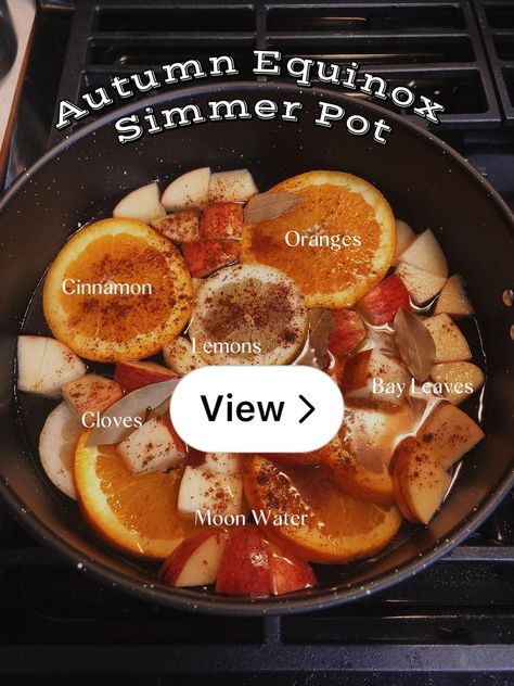 Lemon8 · Autumn Equinox Simmer Pot · @HannahKay💫 Autumn Equinox Simmer Pot, Mabon Simmer Pots, Simmer Pot Recipes, Pot Recipes, Fall Decor