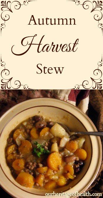 Vegan Pagan Recipes, Vintage Fall Recipes, Harvest Stew Recipe, Harvest Stew, Samhain Recipes, Witch Recipes, Wicca Recipes, Hearty Stew, Kitchen Witch Recipes