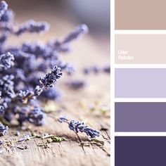 Purple Color Schemes, Wedding Colors Purple, Purple Color Palettes, Beige Bedroom, Color Schemes Colour Palettes, Kitchen Colour Schemes, Trendy Living Rooms, Room Paint Colors, Grey Kitchens