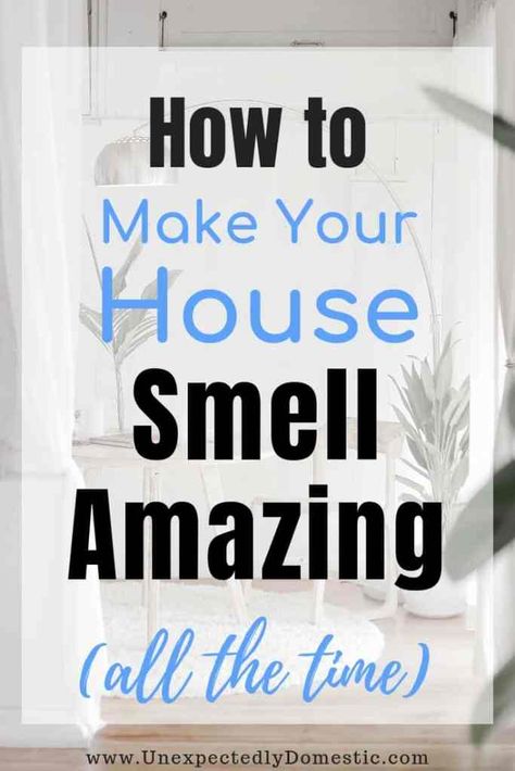 Make Your House Smell Amazing, Putz Hacks, Smelling Good, Cleaning Painted Walls, House Smell Good, Bathroom Smells, Deep Cleaning Tips, Household Cleaning Tips, House Smell