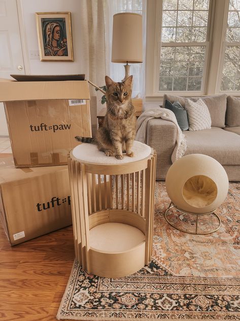 Mid Century Cat Furniture, Classy Cat Furniture, Cat Home Accessories, End Table Cat Bed, Cat Bed Nightstand, Cat Home Aesthetic, Cat Essentials Aesthetic, Aesthetic Cat Decor, Aesthetic Cat Tower