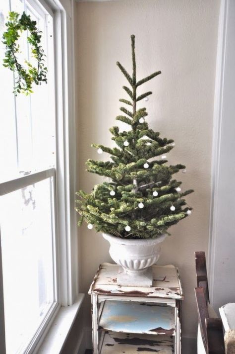 44 Space-Saving Christmas Trees For Small Spaces | DigsDigs Christmas Tree In Urn, Christmas Tree Inspiration Simple, Small Space Christmas Tree, Natal Country, Natal Natural, Small Christmas Trees Decorated, Cottage Christmas, Christmas Tree Inspiration, Natural Christmas