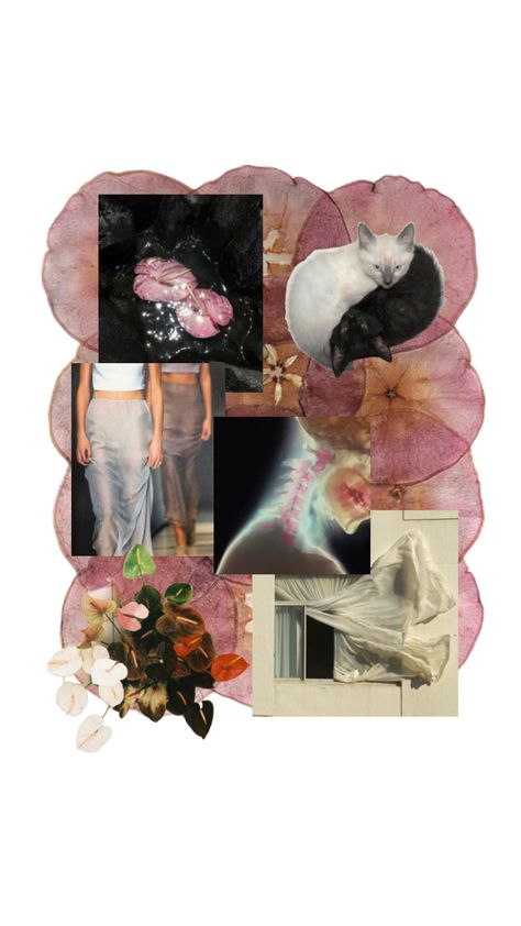 #art #vibes #beauty #nature #vintage #aestheticcore #aestheticboard #vogueaesthetic #fashionaesthetic #fashionmoodboard Collage Inspo Aesthetic, Fashion Collage Aesthetic, Shuffles Wallpapers, Vision Collage, Collage Moodboard, Moodboard Collage, Beauty Of The World, Floral Collage, Nature Vintage