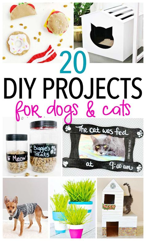 Awesome DIY pet projects you'll want to try if you have a cat, a dog, or both! Find fun DIY toys, treats, and home accents for dogs and cats. Perfect for pet lovers or to make as gifts! Pet Diy Projects, Dogs Diy Projects, Diy Pet Toys, Diy Dog Toys, Diy Cat Toys, Pet Projects, Cats Diy Projects, Dog Projects, Dog Crafts