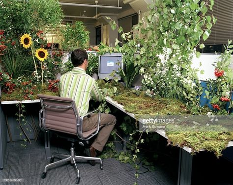 office-worker-at-desk-covered-in-plants-and-flowers-rear-view-picture-id200514500-001 Organizational Psychology, Cubicle Office, Cubicle Decor Office, Desk Cover, Harvard Business, 2160x3840 Wallpaper, Office Cubicle, Cubicle Decor, Design Living Room