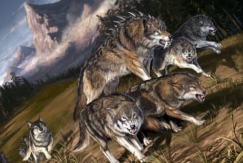 Wolf Pack by BenWootten on DeviantArt Wolf Running, Fantasy Wolf, Dire Wolf, Wolf Wallpaper, Beautiful Wolves, Wolf Pack, Mystical Creatures, Wolf Art, Arte Animal