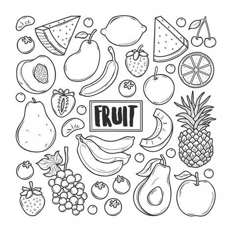 Fruit hand drawn doodle Premium Vector | Premium Vector #Freepik #vector #hand Fruit Doodle Art, Food Doodles Hand Drawn, Cute Fruit Doodles, Cute Fruit Drawings, Fruits Doodle, Fruit Doodles, Doodle Fruit, Doodles Food, Orange Doodle