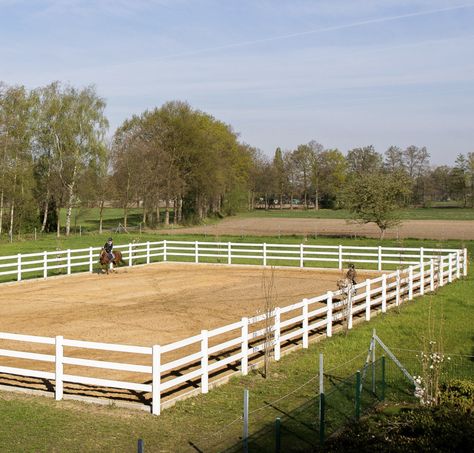 Horse Riding Arena, Equine Stables, Horse Pens, Horse Shed, Horse Fence, Horse Paddock, Horse Farm Ideas, Horse Barn Ideas Stables, Horse Arena