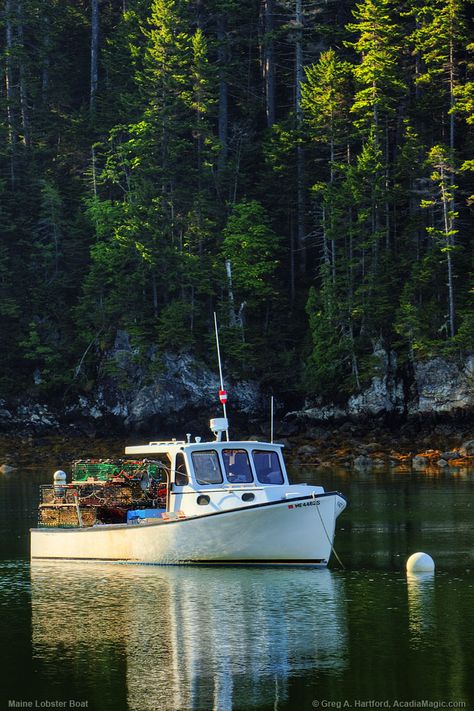 Pilothouse Boat, Acadia Maine, Lobster Fishing, Lobster Boat, Maine New England, Working Boat, Maine Vacation, Boat Pics, Maine Coast