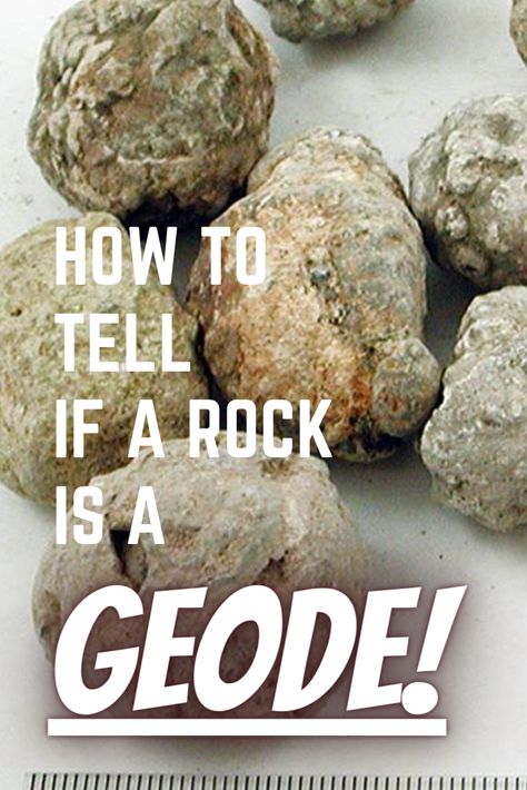 Whole geodes on a table with the text How To Tell If a Rock Is A Geode over the geodes. Geode Hunting, Gem Hunt, Rock Identification, Rock Tumbling, Geode Rocks, Rocks And Fossils, Rock Tumbler, Rock Hunting, Geology Rocks