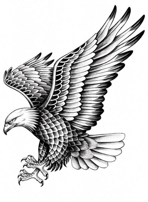 Eagle Tattoo Sketch, Eagle Chest Tattoo, Tato Flash, Tato Tradisional, Eagle Artwork, Eagle Drawing, Eagle Tattoos, Eagle Art, Sketch Tattoo Design