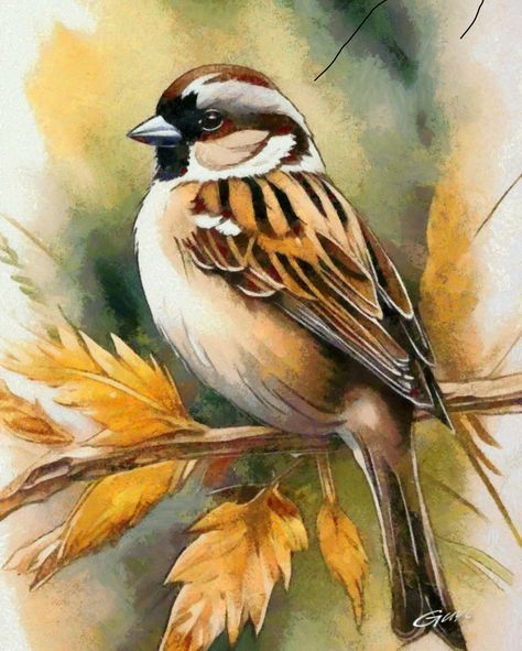 Birds In Acrylic Painting, Painting Birds Acrylic, Acrylic Bird Paintings On Canvas, Birds Watercolor Paintings, Acrylic Painting Animals, Acrylic Painting Birds, Watercolor Birds Paintings, Bird Acrylic Painting, Bird Watercolor Art