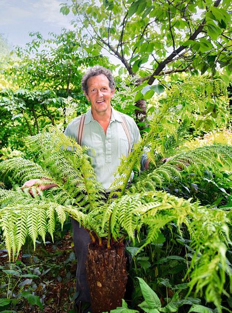 Monty Don on how to successfully grow ferns in your garden | Daily Mail Online Fern Garden Border, Garden Ferns Ideas, Tree Ferns In Pots, Australian Native Fern Garden, Japanese Fern Garden, Fern Tree Garden, Tree Fern Garden Design, Tree Fern In Pot, Fern Garden Ideas Backyards