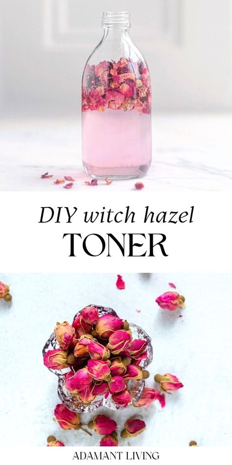 DIY Witch Hazel Toner - Do you want to make your own natural, herbal toner? Look no further than DIY Witch Hazel Toner! This homemade skin care recipe is a natural remedy that can provide numerous skin toner benefits like, restoring balance and hydration to skin. Witch hazel has been used for centuries as a natural skin care ingredient, with a variety of DIY beauty uses. Learn how to make your own Witch Hazel Face Toner with roses with this simple recipe! Diy Witch Hazel, Diy Toner, Diy Witch, Witch Hazel Toner, Natural Skin Care Ingredients, Witch Diy, Diy Facial, Diy Body Care, Herbs For Health