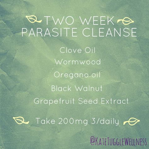 Herbal Parasite Cleanse, Oregano Oil Benefits, Parasite Cleanse, Health Cleanse, Grapefruit Seed Extract, Cleanse Diet, Oregano Oil, Health Food Store, Herbal Healing