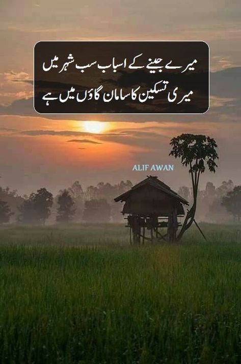 Village Poetry Shayari Gaon Mera Punjab desi life Urdu Poetry Punjab Pakistan Flower Screensaver, Love Romantic Poetry, Punjab Pakistan, Village Photos, Aesthetic Poetry, Vibe Quote, Pak Drama, Urdu Love Words, Sufi Poetry