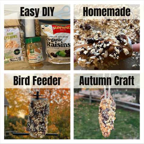 Want the easiest DIY homemade bird feeder with toilet paper roll or pine cone and peanut butter or seed butter and any nut, seed, fruit or whole grain? Try this 5 minute autumn craft for preschoolers or any age kid today! Peanut Butter Bird Feeder, Homemade Bird Feeder, Lauren Martin, Autumn Craft, Homemade Bird Feeders, Preschool Arts And Crafts, Raw Cashews, Bird Food, Seed Butter