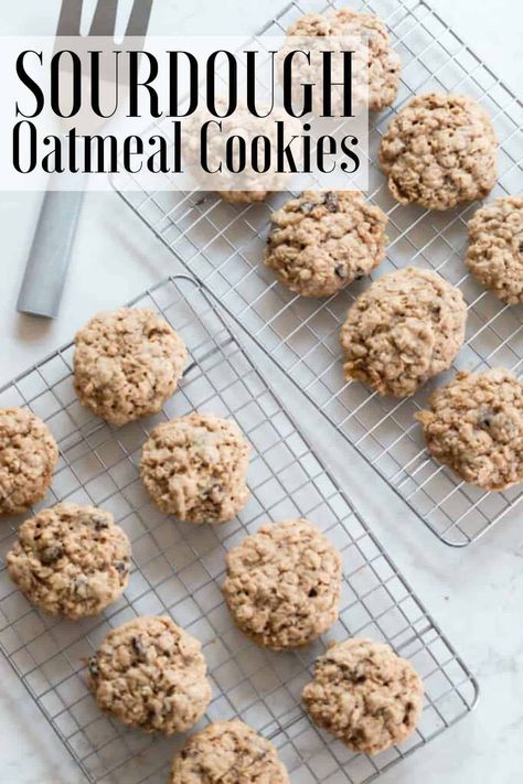 These soft and chewy sourdough oatmeal cookies are a super yummy treat packed with plump raisins and a hint of cinnamon. Whip them up for a quick dessert or long ferment them for better digestibility. #farmhouseonboone #sourdoughoatmealcookies #oatmealcookies #sourdough Maple Cookies Recipe, Sourdough Oatmeal, Recipe Using Sourdough Starter, Cookie Recipes Oatmeal Raisin, Sourdough Starter Discard Recipe, Healthy Oatmeal Cookies, Homemade Sourdough Bread, Quick Dessert, Sourdough Starter Recipe