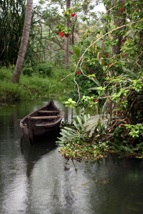 Hut Aesthetic, Adventures Aesthetic, Rainy Day Pictures, Countryside Aesthetic, Row Boats, Biology Notes, Desi Aesthetic, Adventure Aesthetic, Village House