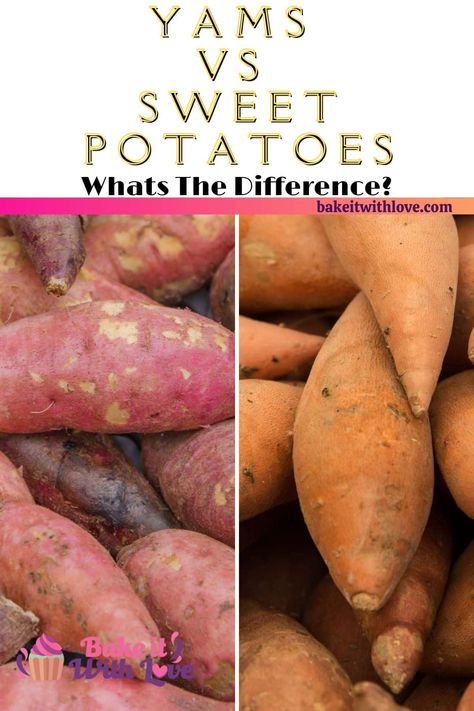 Yams Vs Sweet Potatoes, How To Make Yams, Mashed Yams, Roasted Yams, Yam Fries, Canned Yams, Yam Or Sweet Potato, Yams Recipe, Candy Yams