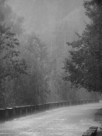 Monsoon Photography, Engagement Henna, Rainy Mood, Rain And Thunderstorms, Smell Of Rain, Rain Photo, I Love Rain, Streets Of London, Rain Storm