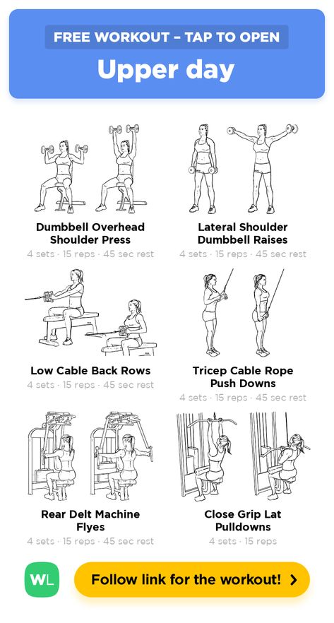 Push Day Workout Women, Push Day Workout, Lower Back Injury, Gym Program, Workout Gym Routine, Workout Program Gym, Push Day, Ab Core Workout, Rear Delt