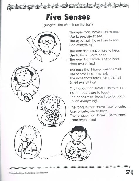 Five Senses Song 5 Senses Preschool, Five Senses Preschool, 5 Senses Activities, Senses Preschool, My Five Senses, Circle Time Songs, Classroom Songs, Senses Activities, All About Me Preschool