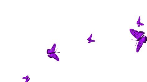 Butterflies Gif, Gif Overlay, Butterfly Animated, Fly Gif, Easy Stamps, Butterfly Gif, Glitter Gif, Butterfly Invitations, Gif Png