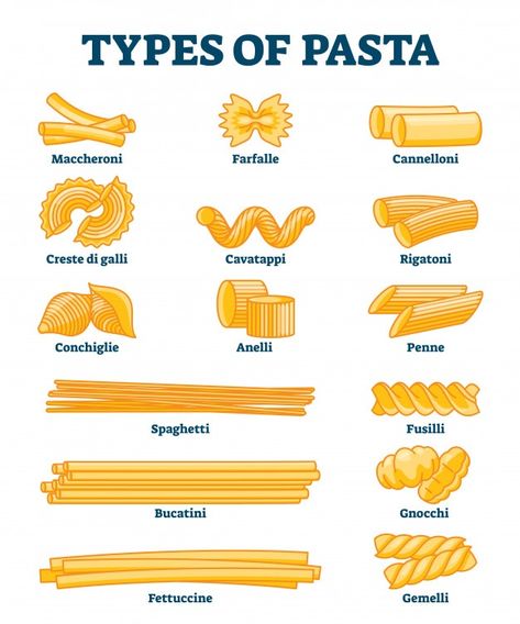 Pasta Noodle Types, Pasta Names, Pasta Illustration, Types Of Pasta, Gnocchi Pasta, Homemade Pasta Recipe, Pasta Types, Recipe Drawing, Food Vocabulary