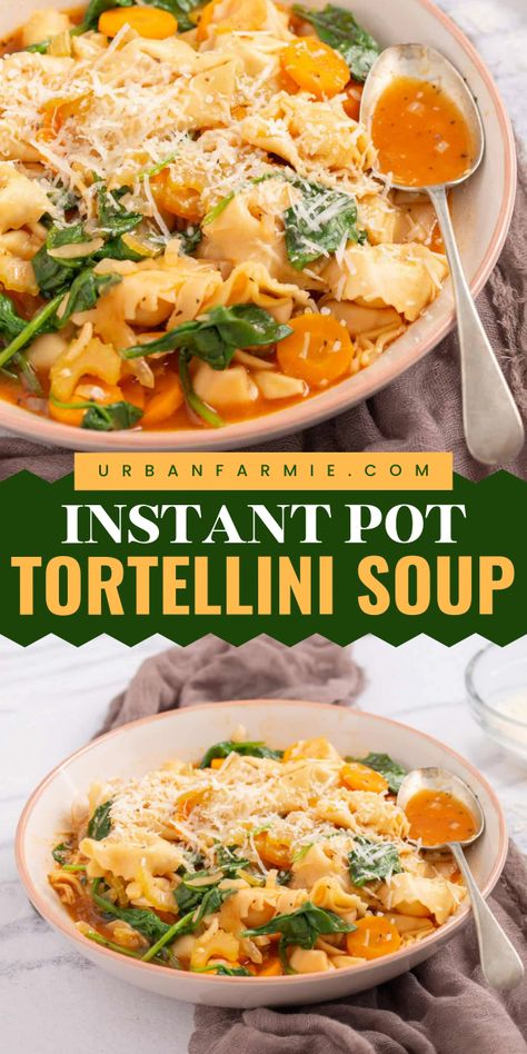 This Instant Pot tortellini soup is my weeknight lifesaver—packed with veggies and cheese tortellini, ready in 30 minutes, and totally comforting! Insta Pot Tortellini Soup, Soups For Instant Pot, Tortellini Soup Instant Pot, Instant Pot Recipes Soup, Instant Pot Vegetarian Recipes, Instant Pot Tortellini Soup, Instant Pot Tortellini, Instapot Soup Recipes, Instant Pot Soups