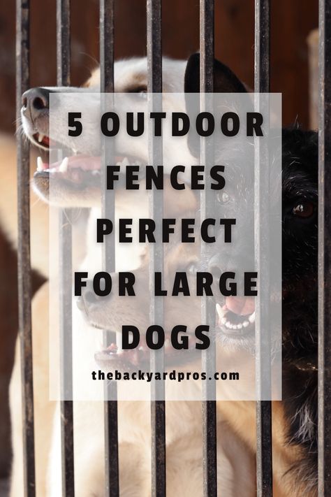 Give Your Big Dog Room to Roam with These Top Outdoor Fences! We've compiled the best fences to ensure your large dog stays safe and happy. Discover durable and effective fencing solutions today! Large Dog Fence Ideas, Dog Proof Fence Ideas, Pet Fencing Ideas Backyards, Dog Gates Outdoor, Dog Lot Ideas Outdoor, Diy Fence Ideas Cheap Dogs, Dog Kennel Ideas Outdoor Diy Cheap, Dog Fence Ideas Backyards, Fencing Ideas For Dogs