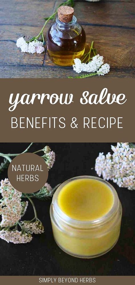 Explore the benefits and learn how to create your own Yarrow Salve, a staple in homemade beauty products. Known for its therapeutic properties, yarrow is ideal for natural beauty and wellness routines. A must-try for herbal remedy enthusiasts. Find more Natural Remedies, Herb Recipes, and Herbalism Recipes at simplybeyondherbs.com. Yarrow Salve Recipe, Yarrow Benefits, Herbalist Apothecary, Yarrow Salve, Apothecary Cupboard, Herbalism Recipes, Herbalist Garden, Medicinal Recipes, Herbal Salve Recipes